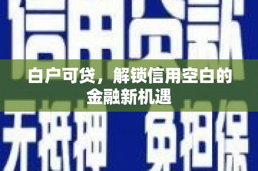 凤县白户可贷，解锁信用空白的金融新机遇