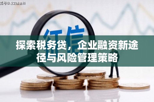 凤县探索税务贷，企业融资新途径与风险管理策略