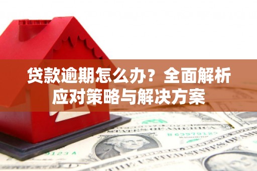 凤县贷款逾期怎么办？全面解析应对策略与解决方案
