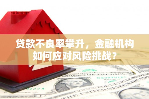 凤县贷款不良率攀升，金融机构如何应对风险挑战？
