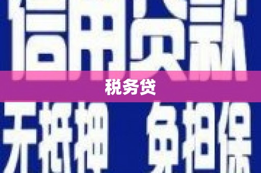 凤县税务贷