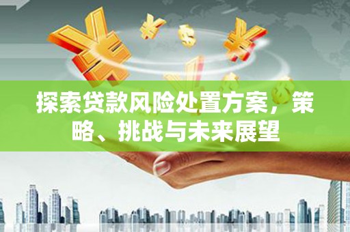 凤县探索贷款风险处置方案，策略、挑战与未来展望