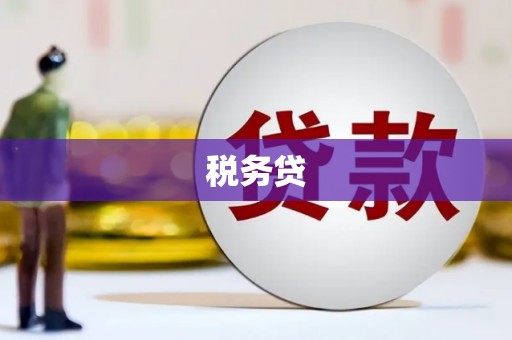 凤县税务贷