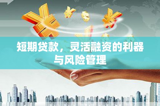 凤县短期贷款，灵活融资的利器与风险管理