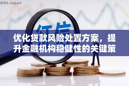 凤县优化贷款风险处置方案，提升金融机构稳健性的关键策略