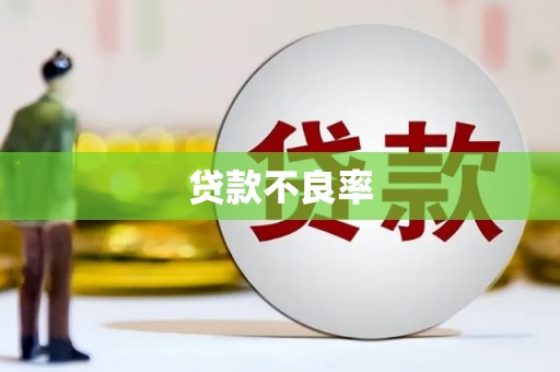 凤县贷款不良率