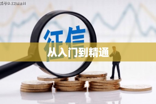 凤县从入门到精通