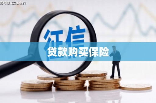 凤县贷款购买保险