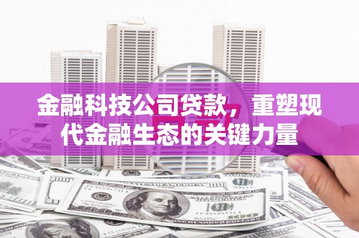凤县金融科技公司贷款，重塑现代金融生态的关键力量