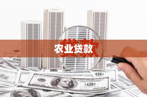 凤县农业贷款