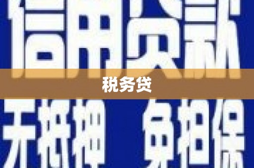 凤县税务贷