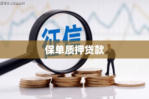 凤县保单质押贷款