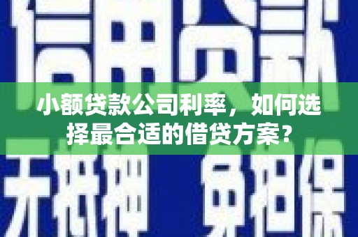 凤县小额贷款公司利率，如何选择最合适的借贷方案？