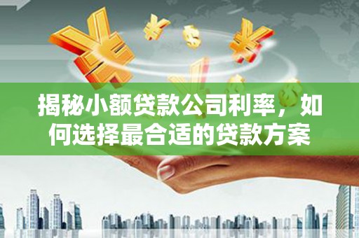 凤县揭秘小额贷款公司利率，如何选择最合适的贷款方案