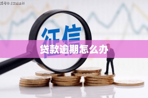 凤县贷款逾期怎么办