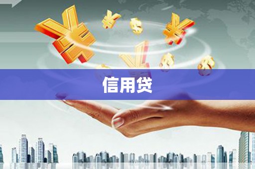 凤县信用贷