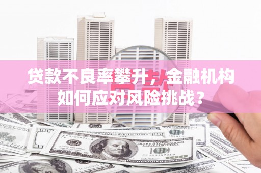 凤县贷款不良率攀升，金融机构如何应对风险挑战？