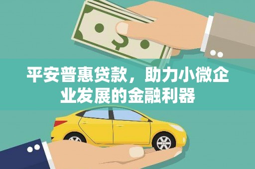 凤县平安普惠贷款，助力小微企业发展的金融利器