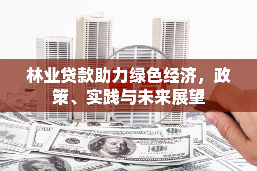 凤县林业贷款助力绿色经济，政策、实践与未来展望