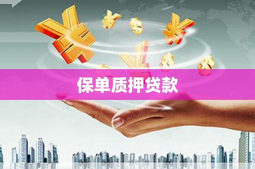 凤县保单质押贷款