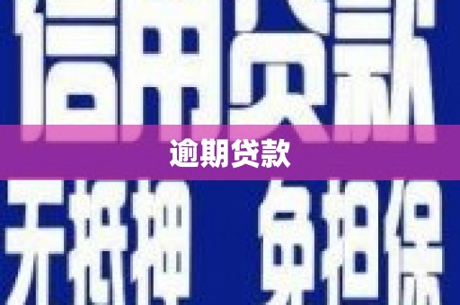 凤县逾期贷款