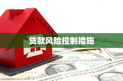 凤县贷款风险控制措施