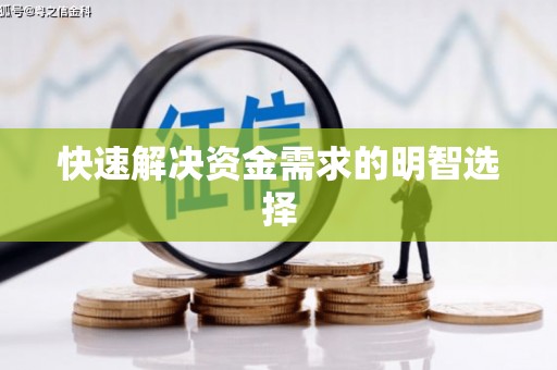 凤县快速解决资金需求的明智选择