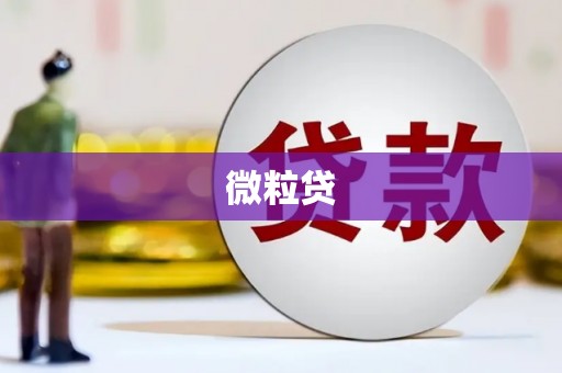 凤县微粒贷
