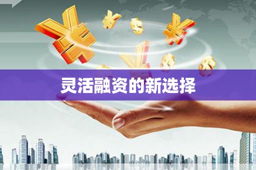 凤县灵活融资的新选择