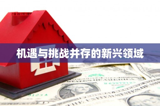 凤县机遇与挑战并存的新兴领域