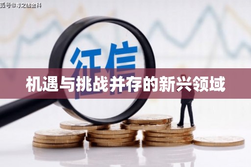 凤县机遇与挑战并存的新兴领域