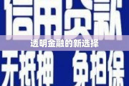 凤县透明金融的新选择