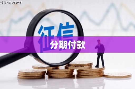 凤县分期付款