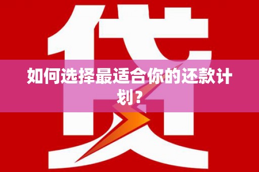 凤县如何选择最适合你的还款计划？