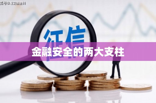 凤县金融安全的两大支柱