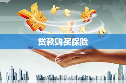凤县贷款购买保险