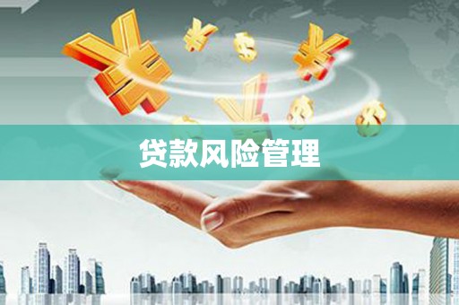 凤县贷款风险管理