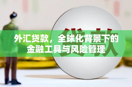 凤县外汇贷款，全球化背景下的金融工具与风险管理