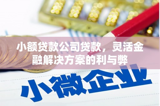 凤县小额贷款公司贷款，灵活金融解决方案的利与弊