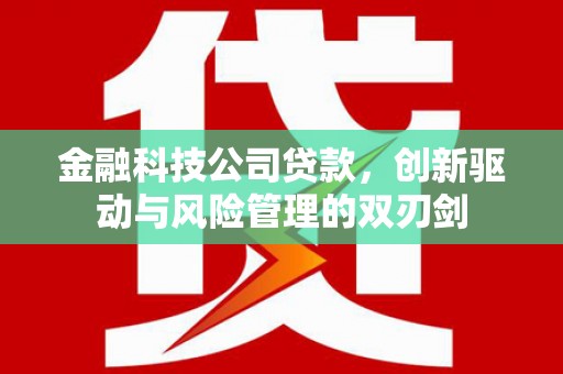 凤县金融科技公司贷款，创新驱动与风险管理的双刃剑